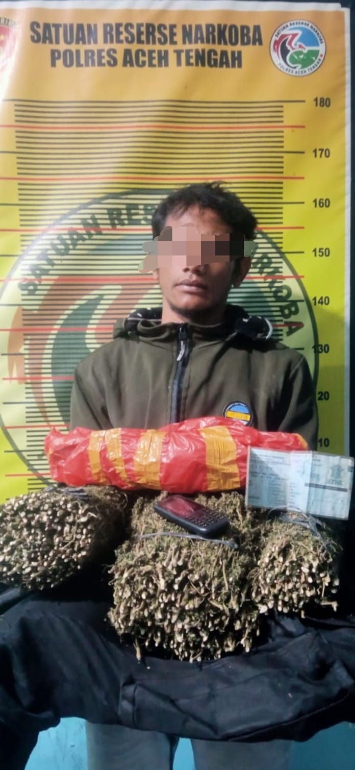 Nekat Bawa 2 KG Ganja Kering, Seorang Pria Dibekuk Satreskoba Polres Aceh Tengah 