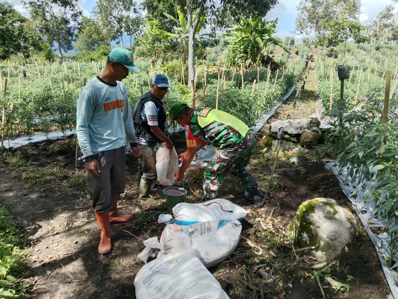 Sambangi Petani, Babinsa 03/TG Berikan Motivasi Dan Dukungan