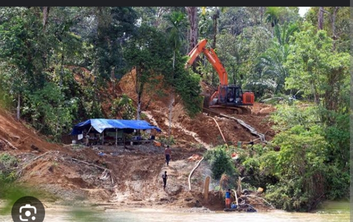 Tambang Emas Ilegal Bergentayangan Beroperasi Menggunakan Alat Berat Di Hutan Lindung Aceh Tengah