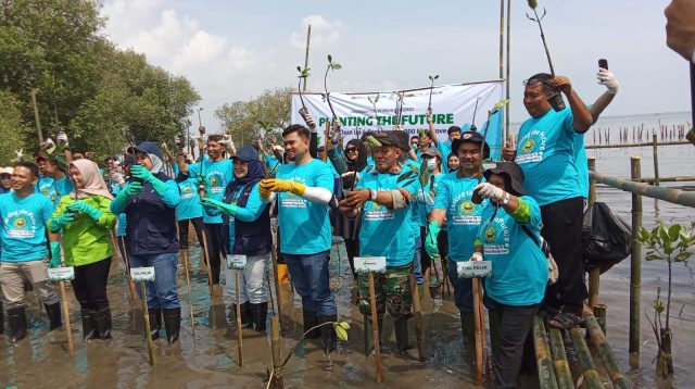 Lestarikan Ekosistem Pesisir Babinsa Tanam Pohon Mangrove di Pantai Kesunean Kota Cirebon