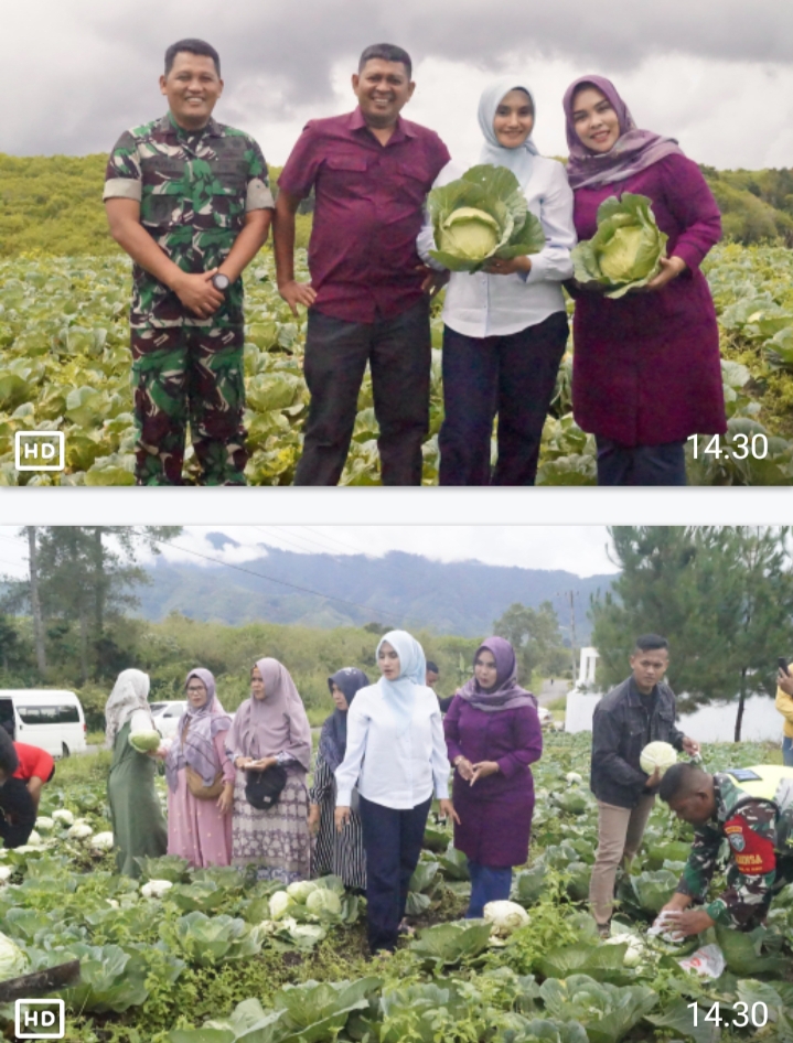 Letkol Inf Ahmad Fauzi Dampingi Danrem 011/LW Berkunjung Ke Lahan Pertanian Holtikultura Binaan Kodim 0119/BM