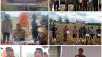 Polres Konsel: Kegiatan Penanaman Jagung Serentak 1 Juta Hektar Kerjasama Polri dan Kementrian RI serta GAPKI, Perhutanan, Inhutani Swasta, Swadaya Petani di Kabupaten Konawe Selatan