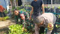 Babinsa Panen Kangkung, Dukung Program Hanpangan