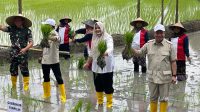 Bupati Bima IDP Hadiri Tanam Raya Padi Di Lombok Tengah