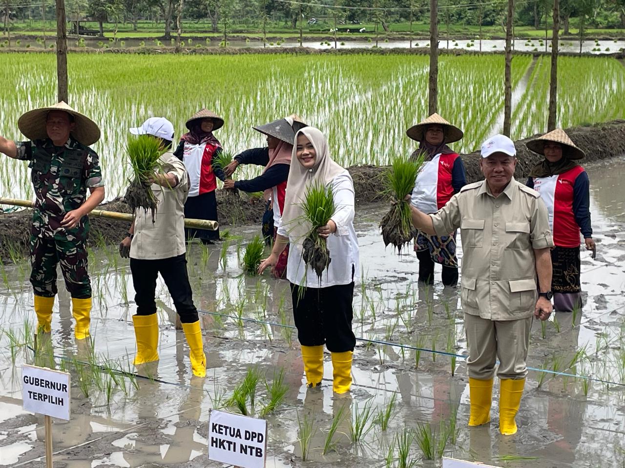 Bupati Bima IDP Hadiri Tanam Raya Padi Di Lombok Tengah