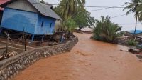 AMPLK SULTRA: Soroti Aktivitas Pertambangan PT Tambang Bumi Sulawesi, Dinilai Cemari Lingkungan di Kabupaten Bombana