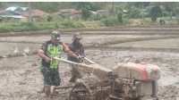 Siapkan Lahan Pertanian, Babinsa Dampingi Petani Garap Sawah