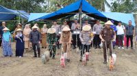 Polres Luwu Dan Forkopimda Terus Dorong Upaya Ketahanan Pangan Melalui Penanaman Jagung Serentak