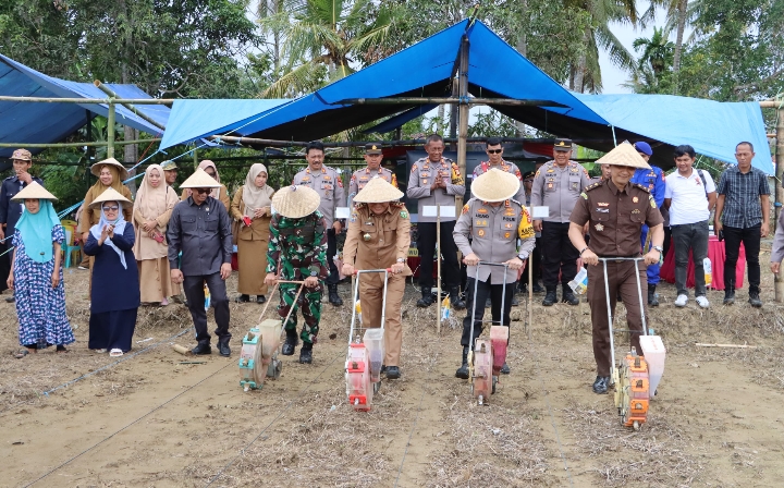 Polres Luwu Dan Forkopimda Terus Dorong Upaya Ketahanan Pangan Melalui Penanaman Jagung Serentak