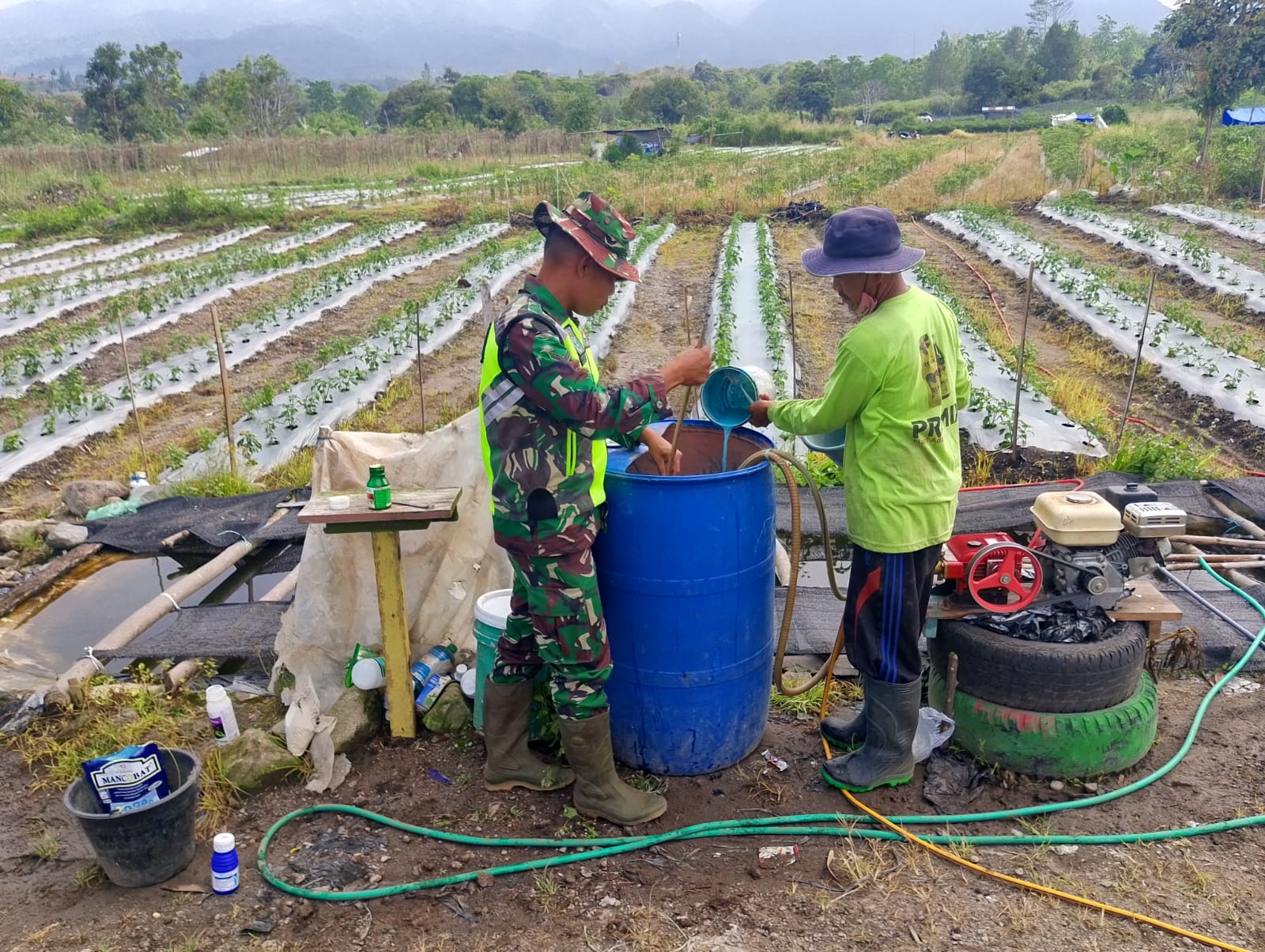 Tingkatkan Hasil Pertanian, Babinsa Lakukan Pendampingan Pemupukan