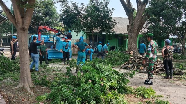 Cegah Pohon Tumbang dan Penyakit DBD, Kodim 0614 Laksanakan Penebangan Pohon dan Fogging di Asrama