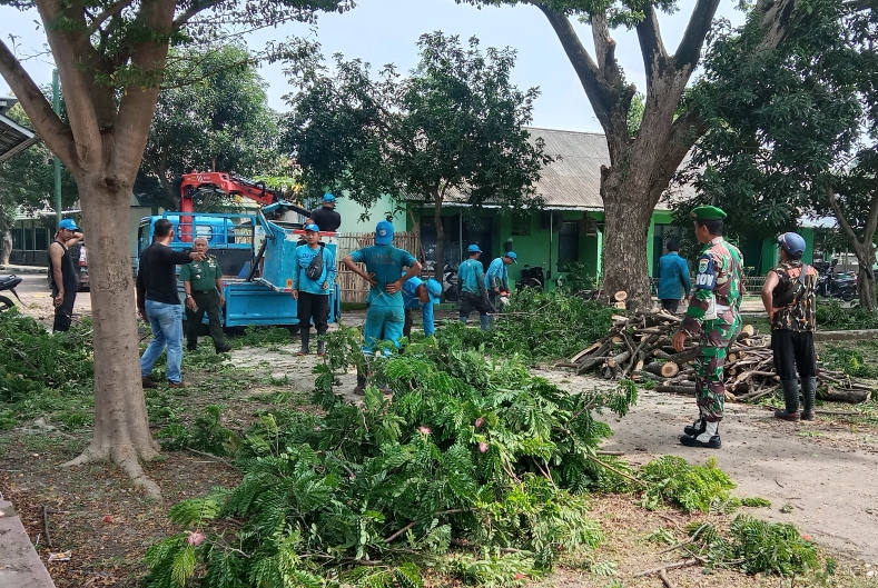 Cegah Pohon Tumbang dan Penyakit DBD, Kodim 0614 Laksanakan Penebangan Pohon dan Fogging di Asrama