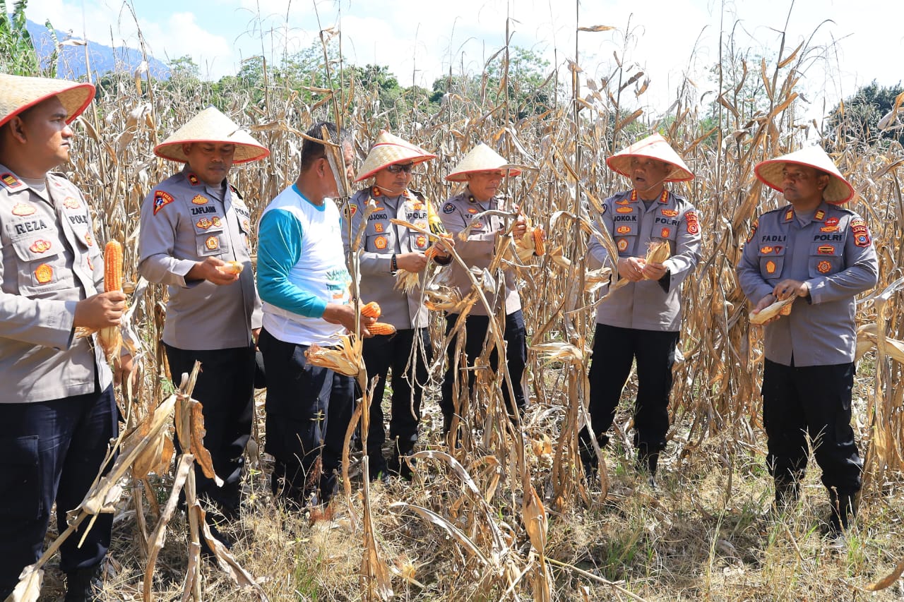 Kabid Humas Polda Aceh Panen Jagung Program Ketahanan Pangan