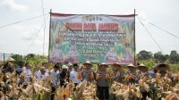 Panen Raya Jagung Hibrida, Kapolda Banten: Bentuk Nyata Upaya Bersama untuk Ketahanan Pangan