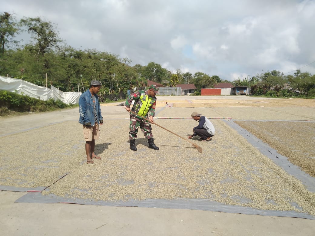 Berikan Motivasi, Babinsa Sambangi Petani Kopi Di Gudang pengepul