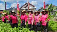 Kebun Sayur-Mayur di Gampong Deah Baru Jadi Pekarangan Pangan Lestari Binaan Bhayangkari Cabang Kota Banda Aceh