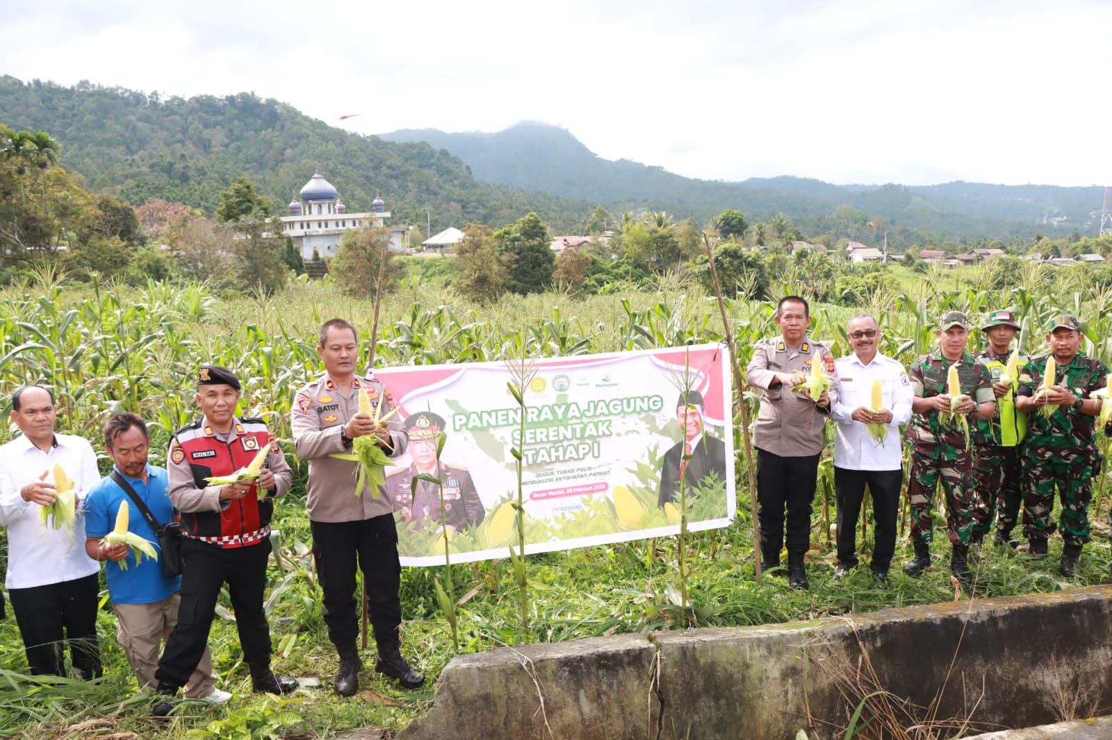 Panen Raya Jagung Serentak Tahap I Di Bener Meriah Dukung Ketahanan Pangan Nasional