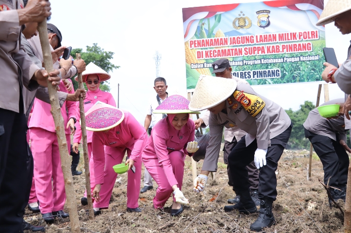 Polres Pinrang Tanam Jagung di Lahan Milik Polri untuk Dukung Swasembada Pangan