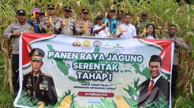 Dihadiri Pihak Terkait, Polres Toraja Utara Gelar Panen Raya Jagung Serentak Tahap I