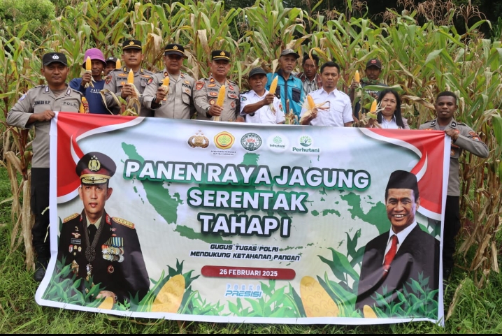 Dihadiri Pihak Terkait, Polres Toraja Utara Gelar Panen Raya Jagung Serentak Tahap I