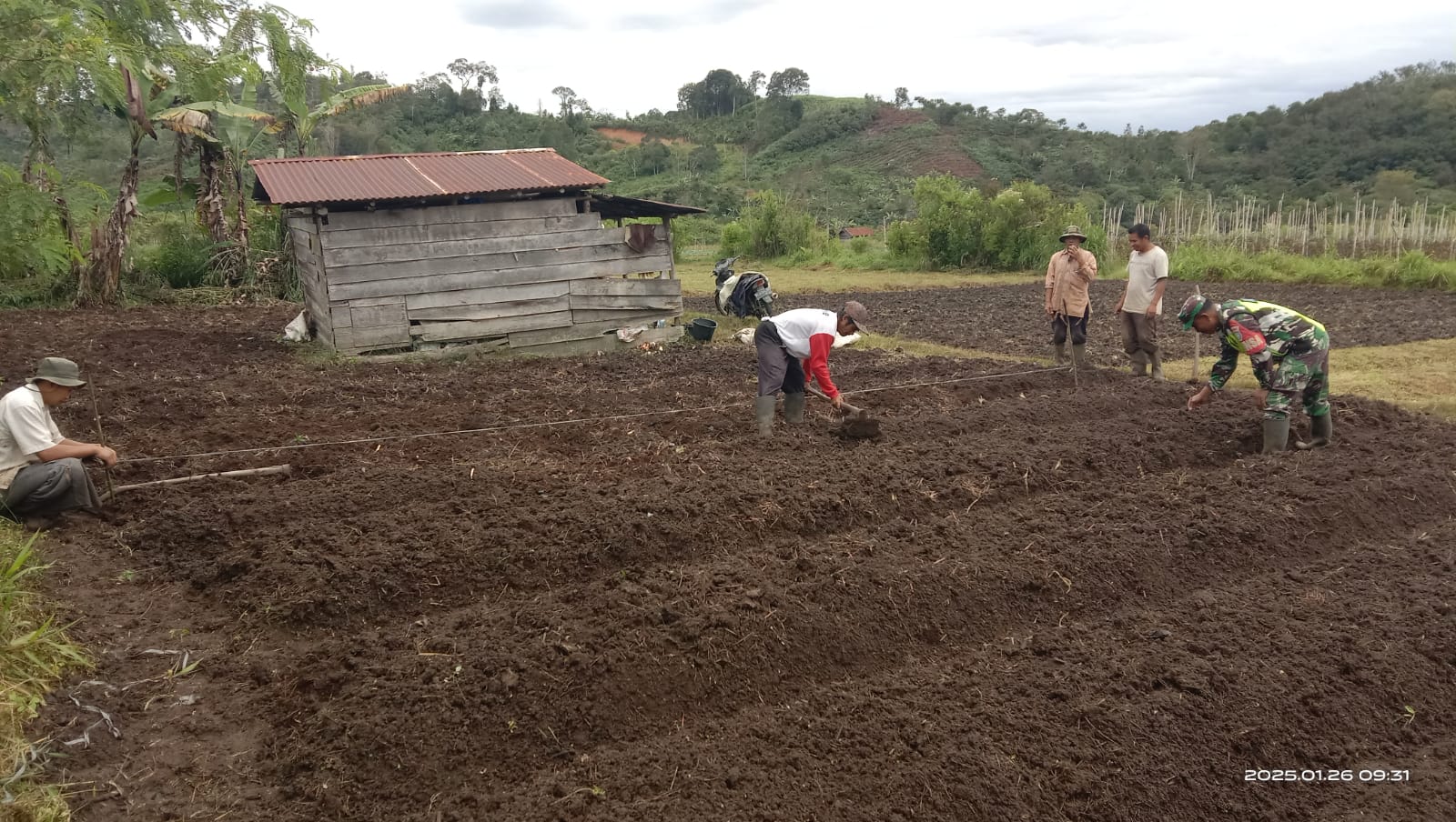 Babinsa Bantu warga Buka Lahan Kosong Untuk Ditanami Tanaman Bawang Merah.