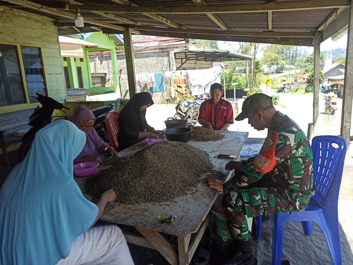 Babinsa Koramil 03/Pegasing Dampingi Warga Binaan Proses Penyortiran Kopi